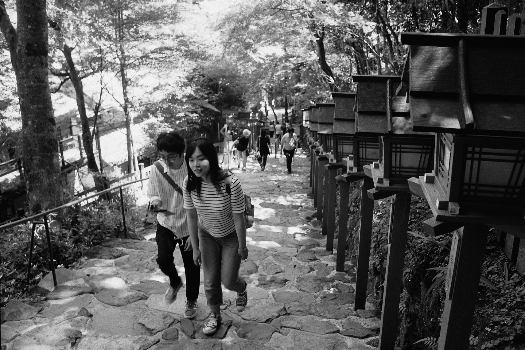 Barkin_Kyoto_75.JPG
