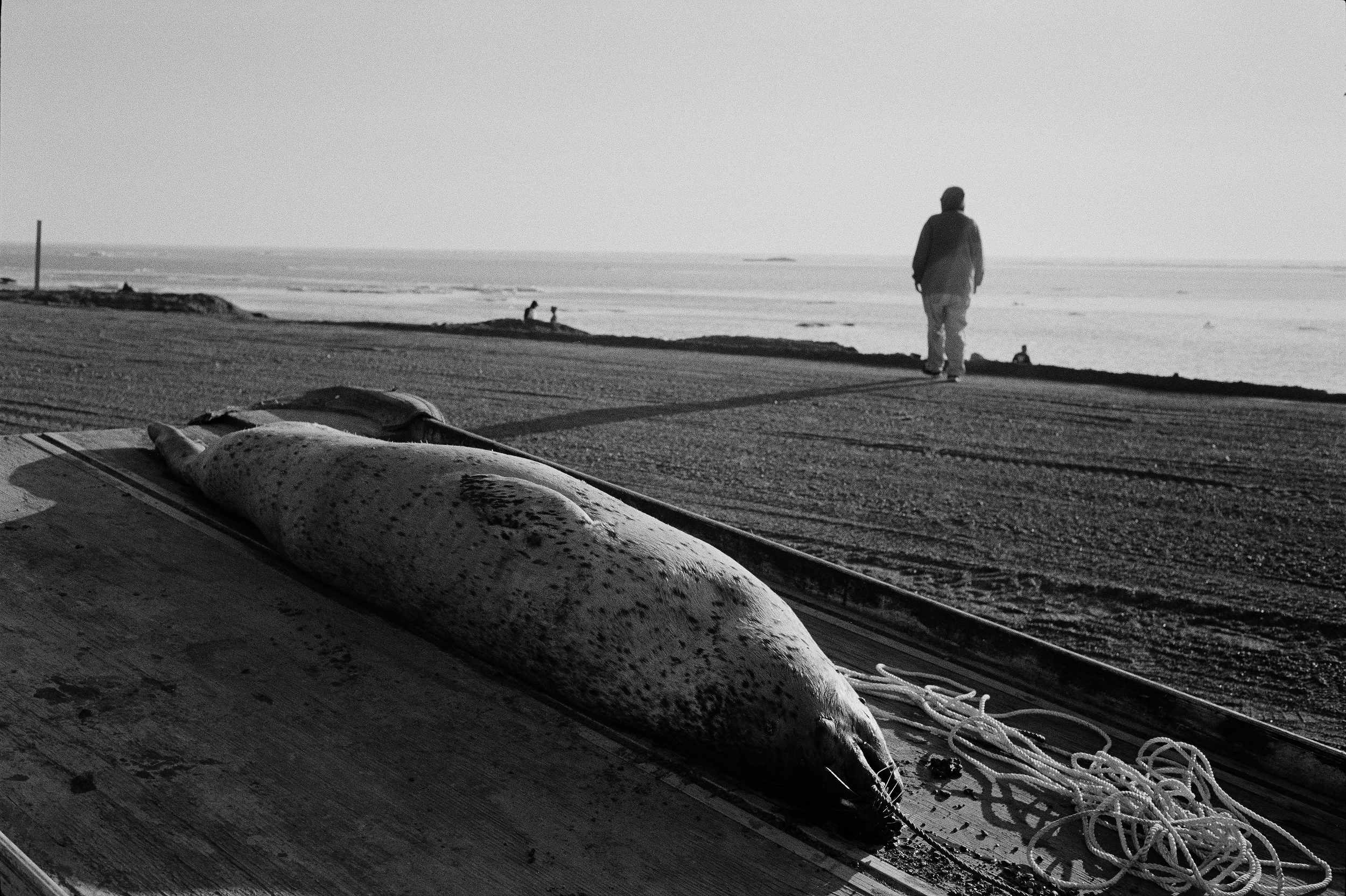 Barkin_Naluqatak_0540.JPG